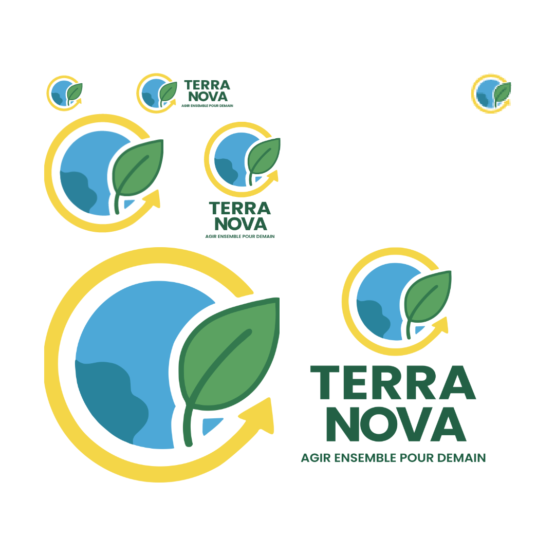 Déclinaisons logo Terra Nova supports print web réseaux sociaux